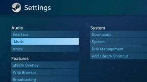 Steam Big Picture settings